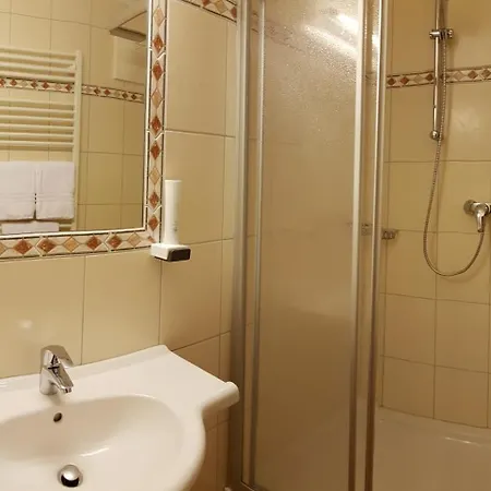 Hotel Sommerer - Nur 100M Zum Skilift & Jokercard ホテル ザールバッハ・ヒンターグレム