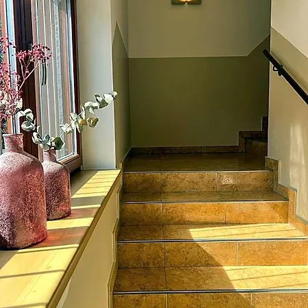 Hotel Sommerer - Hike & Bike In Saalbach, Joker Card Inkl Hotel 3*
