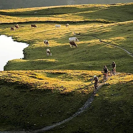 Hotel Sommerer - Hike & Bike In Saalbach, Joker Card Inkl Hotel