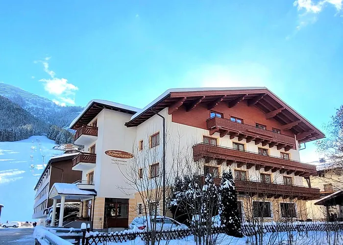 Sommerer - Hike & Bike In Saalbach, Joker Card Inkl ホテル ザールバッハ・ヒンターグレム